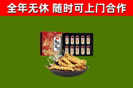 泊头烟酒回收冬虫夏草礼盒.jpg