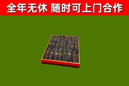 泊头回收海参